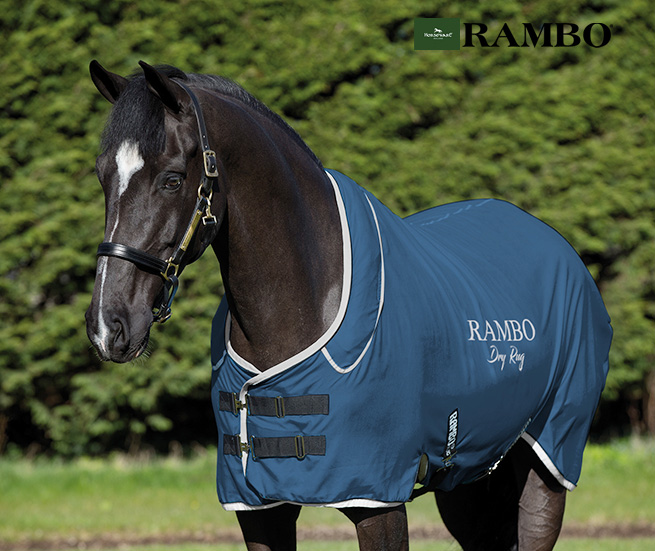公式サイト - ハイブランドの新作が続々登場 頭絡 乗馬 額革 フル ブラック／コバルトブルー ビルニス QHP 乗馬、馬術